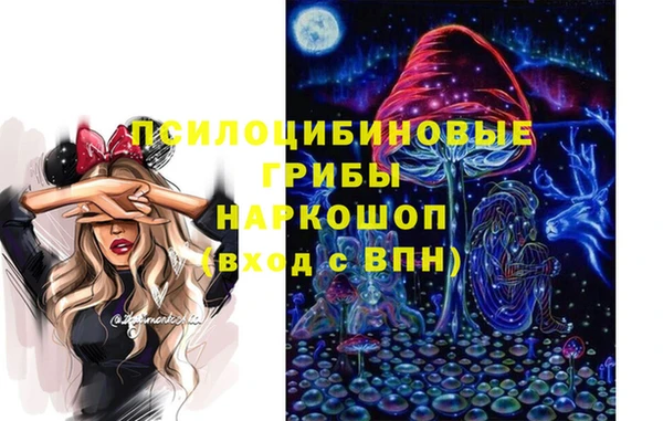 индика Верея