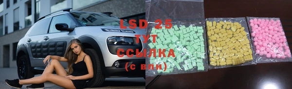 индика Верея