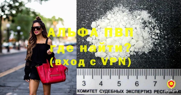 индика Верея