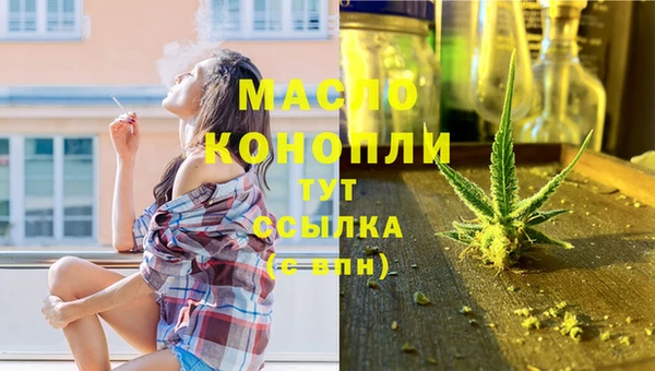 индика Верея