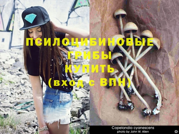 mdma Верхний Тагил