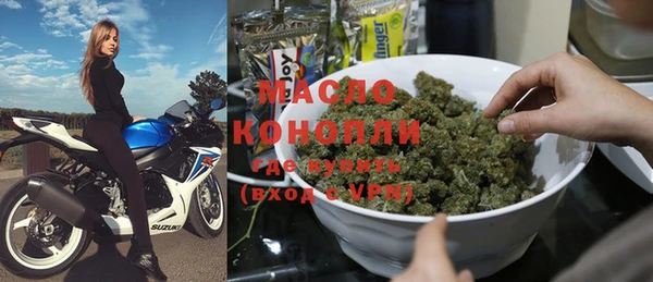 индика Верея
