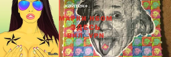 индика Верея