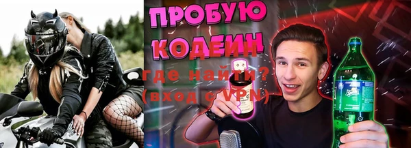 индика Верея