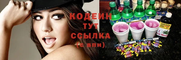 индика Верея