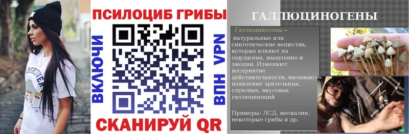 MEGA вход  Мытищи  Псилоцибиновые грибы MAGIC MUSHROOMS 